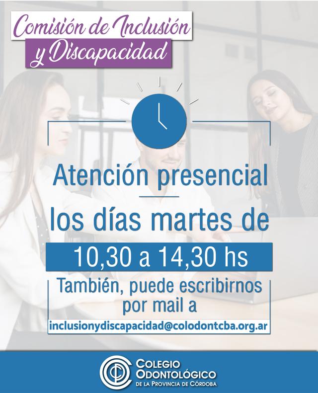 Comisión de Inclusión y Discapacidad